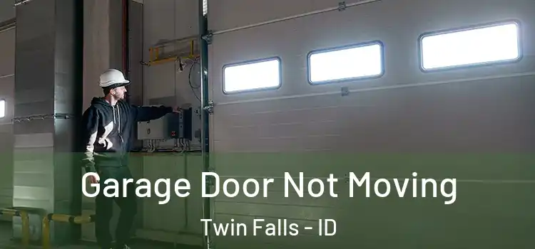  Garage Door Not Moving Twin Falls - ID